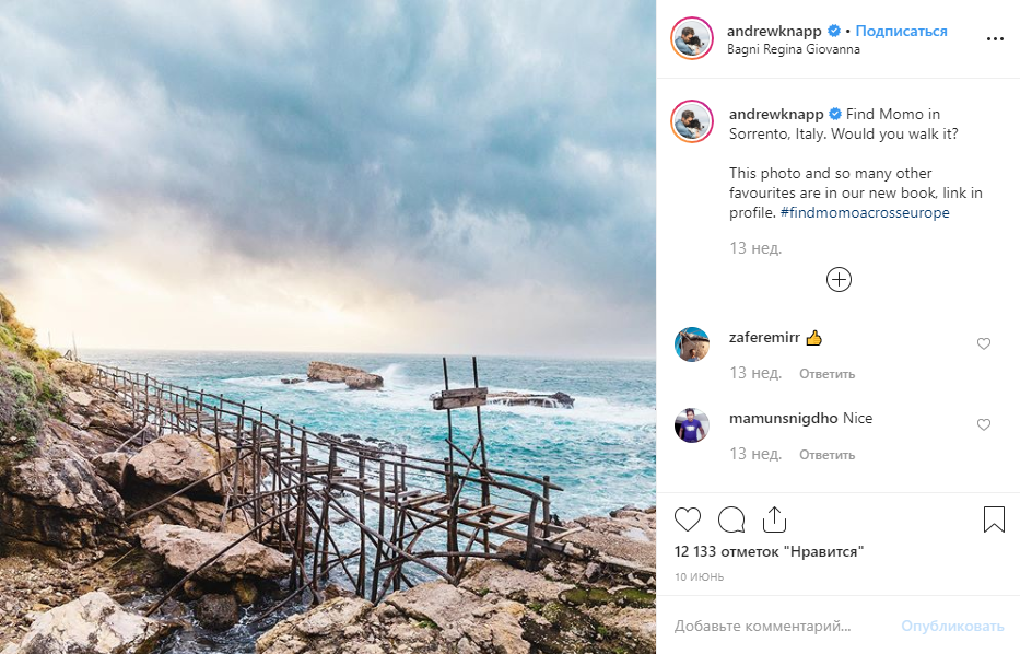 Найди собаку на фотографии